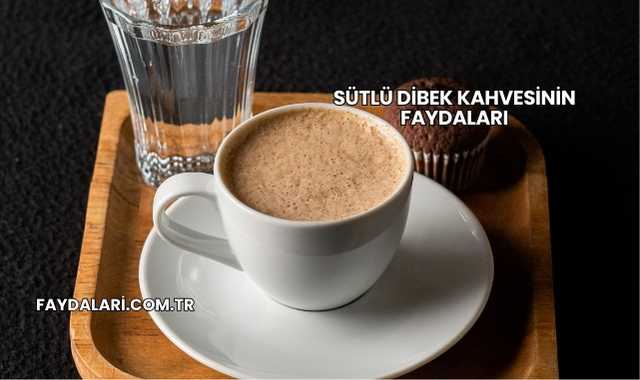 Sütlü Dibek Kahvesinin Faydaları