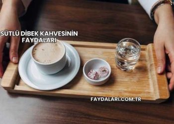 Sütlü Dibek Kahvesinin Faydaları