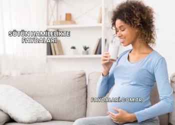 Sütün Hamilelikte Faydaları