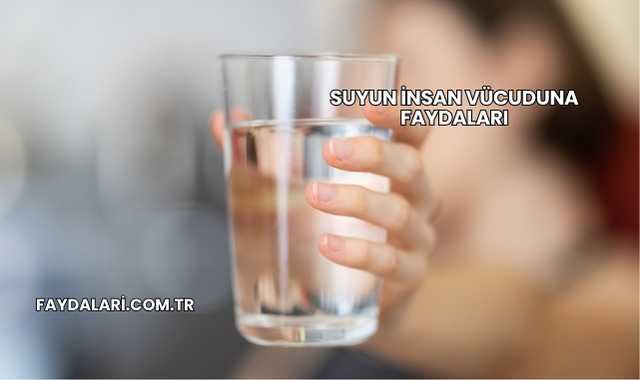 Suyun İnsan Vücuduna Faydaları