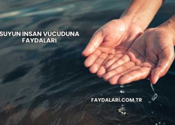 Suyun İnsan Vücuduna Faydaları