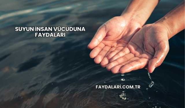 Suyun İnsan Vücuduna Faydaları