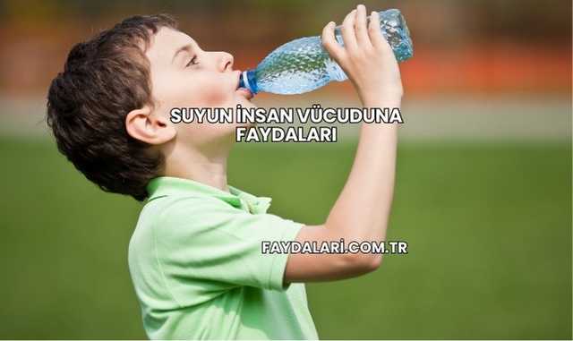 Suyun İnsan Vücuduna Faydaları