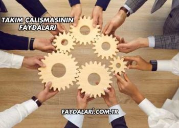 Takım Çalışmasının Faydaları