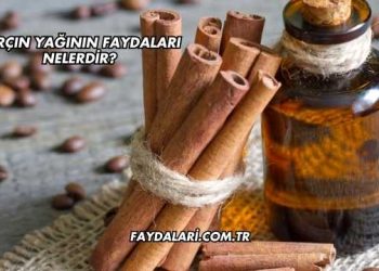 Tarçın Yağının Faydaları Nelerdir?