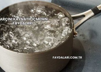 Tarçını Kaynatıp İçmenin Faydaları