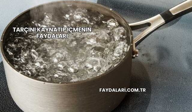 Tarçını Kaynatıp İçmenin Faydaları