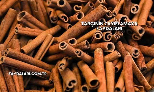 Tarçının Zayıflamaya Faydaları