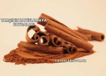 Tarçının Zayıflamaya Faydaları