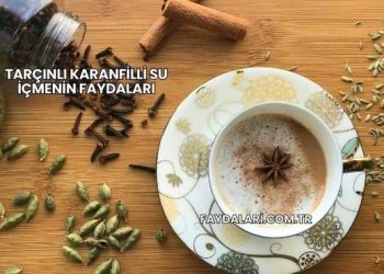 Tarçınlı Karanfilli Su İçmenin Faydaları