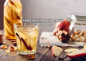 Tarçınlı Limonlu Çayın Faydaları