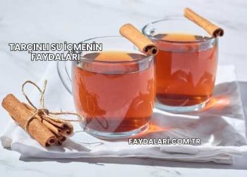Tarçınlı Su İçmenin Faydaları
