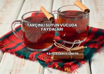 Tarçınlı Suyun Vücuda Faydaları