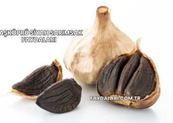 Taşköprü Siyah Sarımsak Faydaları