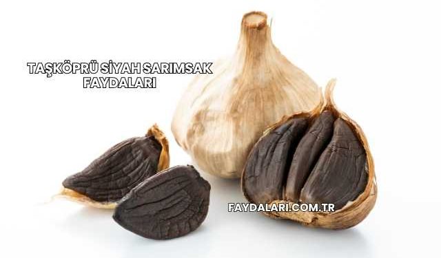 Taşköprü Siyah Sarımsak Faydaları
