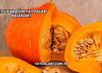Tatlı Kabağın Faydaları Nelerdir?