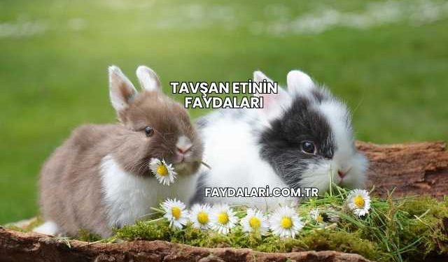 Tavşan Etinin Faydaları