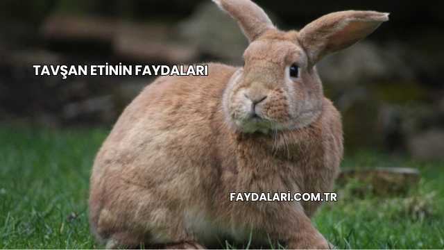 Tavşan Etinin Faydaları