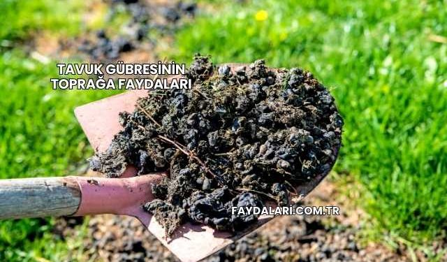 Tavuk Gübresinin Toprağa Faydaları