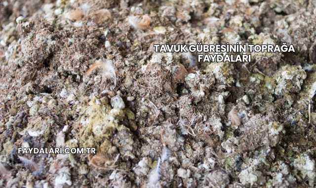 Tavuk Gübresinin Toprağa Faydaları