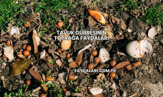 Tavuk Gübresinin Toprağa Faydaları