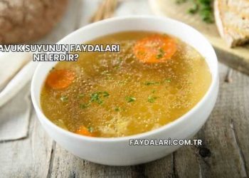 Tavuk Suyunun Faydaları Nelerdir?