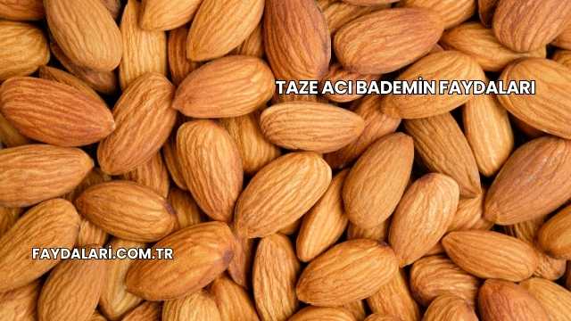 Taze Acı Bademin Faydaları