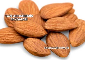 Taze Acı Bademin Faydaları