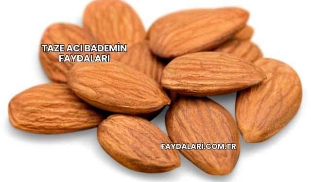 Taze Acı Bademin Faydaları