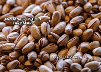 Taze Antep Fıstığın Faydaları