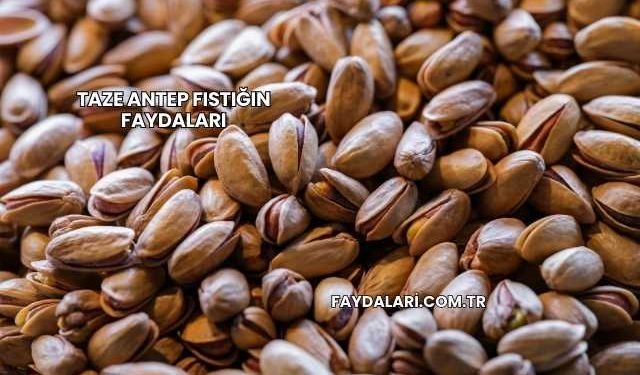Taze Antep Fıstığın Faydaları