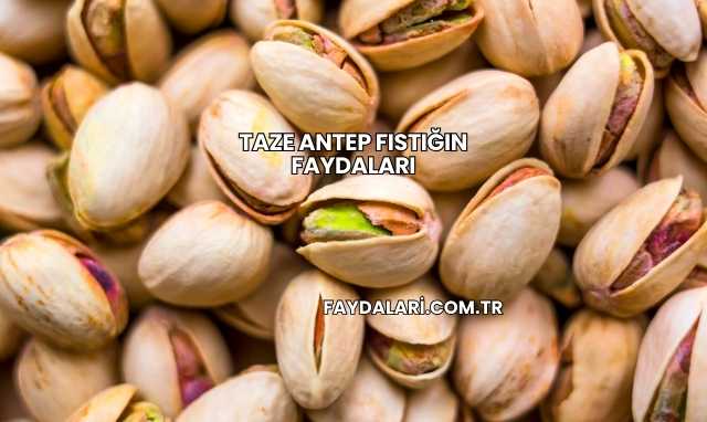 Taze Antep Fıstığın Faydaları