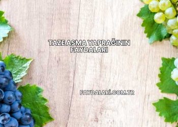 Taze Asma Yaprağının Faydaları