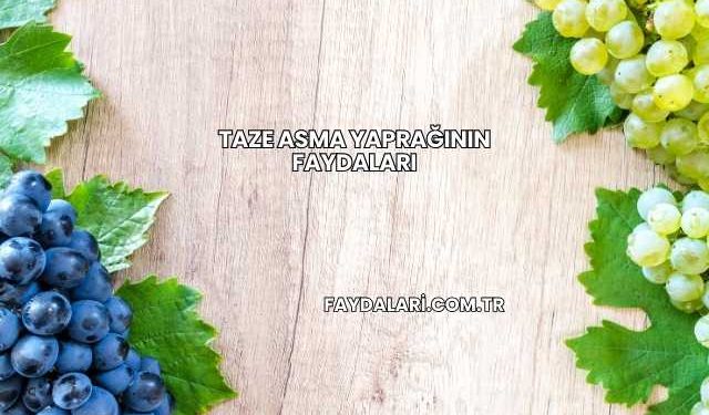 Taze Asma Yaprağının Faydaları
