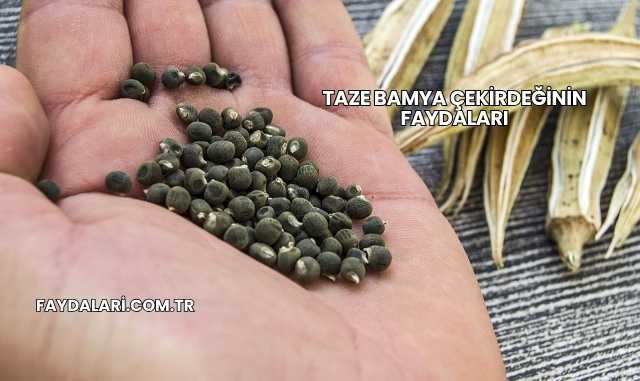 Taze Bamya Çekirdeğinin Faydaları