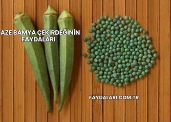 Taze Bamya Çekirdeğinin Faydaları