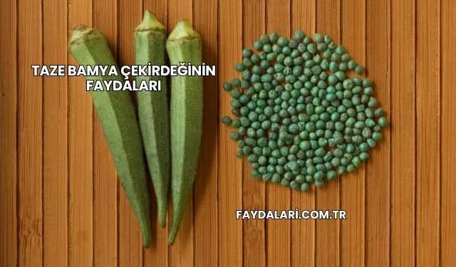 Taze Bamya Çekirdeğinin Faydaları