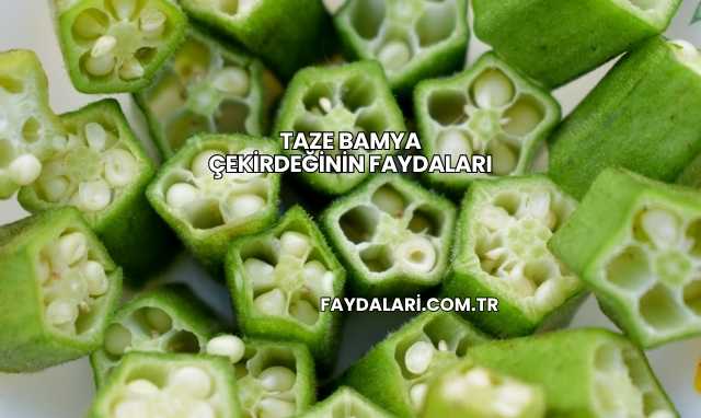 Taze Bamya Çekirdeğinin Faydaları