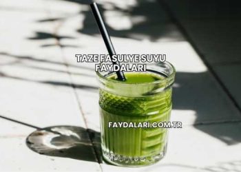 Taze Fasulye Suyu Faydaları