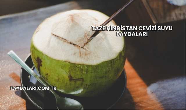 Taze Hindistan Cevizi Suyu Faydaları