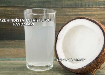 Taze Hindistan Cevizi Suyu Faydaları