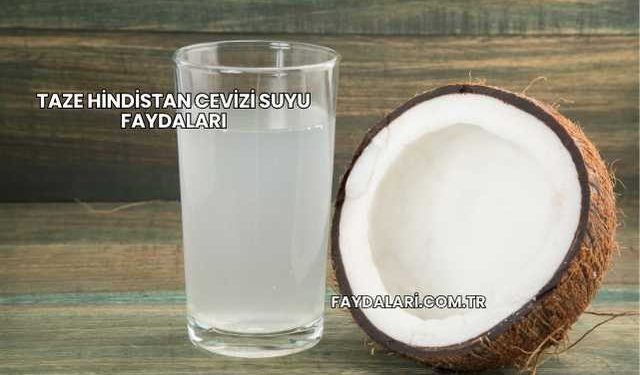 Taze Hindistan Cevizi Suyu Faydaları