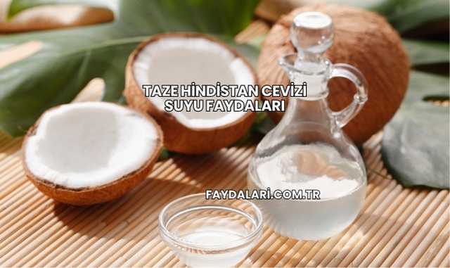 Taze Hindistan Cevizi Suyu Faydaları