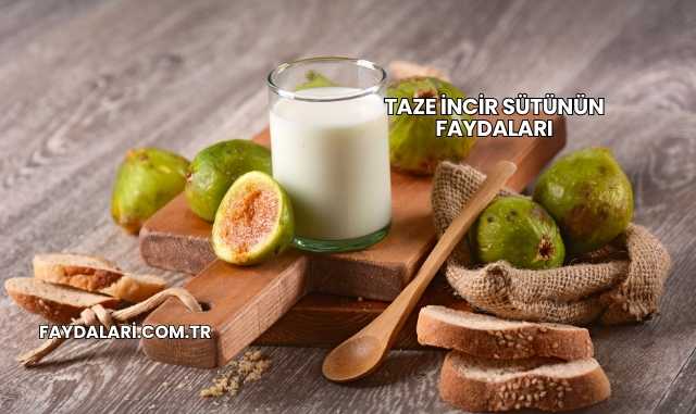 Taze İncir Sütünün Faydaları