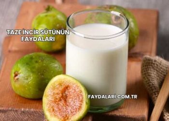 Taze İncir Sütünün Faydaları