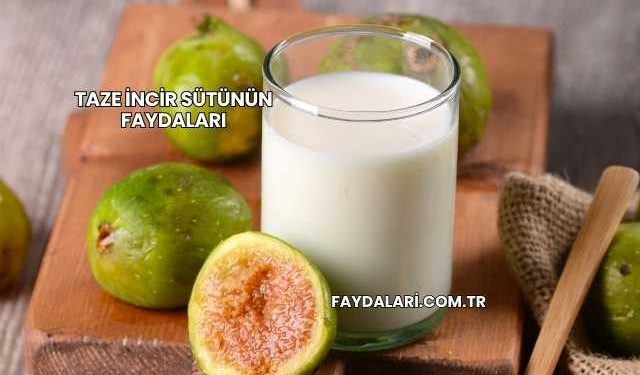 Taze İncir Sütünün Faydaları