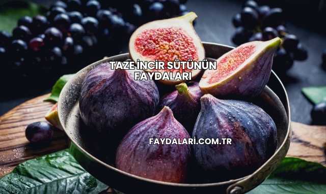 Taze İncir Sütünün Faydaları