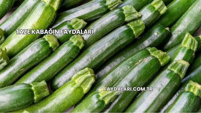 Taze Kabağın Faydaları