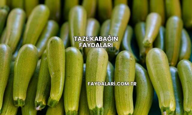 Taze Kabağın Faydaları