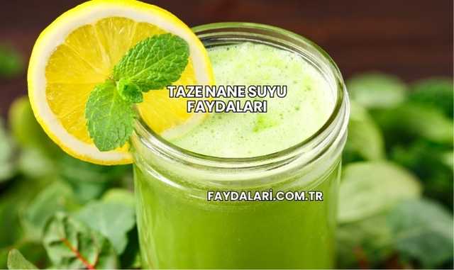 Taze Nane Suyu Faydaları